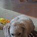 Scott Kieffer - Facebook