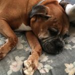 Scott Kies - @skies62 - Instagram