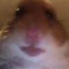 Jake Brock 16 @ - @scottkimelton013151 - TikTok