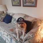 Scott Kindig - @kindigscott - Instagram