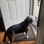 Mary Scott Kintner - @maryscottkintner - Instagram