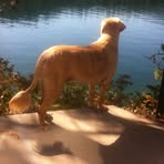 Scott Kinzer - Facebook