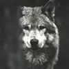 scottkirkmanjr776 - @scottkirkmanjr776 - TikTok