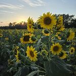 Scott Kiser - @j_scott_kiser - Instagram