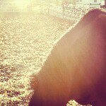 Scott Kitchens - @sk1983 - Instagram
