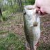 Scott Kitchens - Facebook