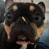 Scott Kitchens - @scott.kitchens - TikTok