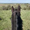 scoutklatt - @scoutklatt - TikTok