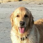 Scott Klekar - @scottklekar - Instagram