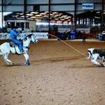 Scott Klenk - @scottklenk - Instagram