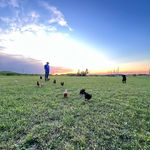 Scott Kloster - @scottkloster - Instagram