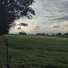 scottknechtl - @scottknechtl - TikTok