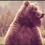 Scott Knock - @bear.brewing - Instagram