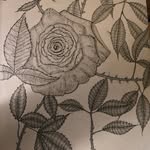 Scott Koberlein - @scottkoberlein - Instagram