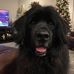 Scott Koenigsberg - Facebook