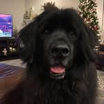 Scott Koenigsberg - @scottkoenigsberg - Instagram