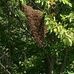 Scott Kohlmann - Facebook