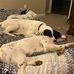 Scott Kohlmann - Facebook