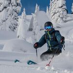 Scott Krall - @krall.scott - Instagram