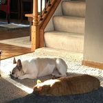 Scott Kron - @scottkron - Instagram