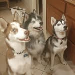 Scott Kruizenga - @scottkruizenga - Instagram
