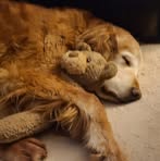 Scott Kugel - Facebook