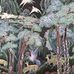 Scott Kwon - Facebook