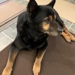Ginger-Scott LaCoste - Facebook