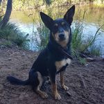 Scott Brightlec Lahrs - @scottlahrs - Instagram