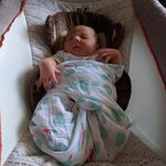 scott c lambeth - @buckshot707 - Instagram