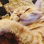Scott Lamons - @lamonsscott - Instagram