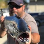 Scott Lamphere - @lamphere.scott - Instagram