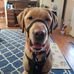 Scott Landreth - Facebook