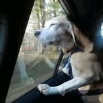 Scott Landstad - @scottlandstad - Instagram