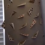 scott - @scott.lands - Instagram