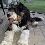 @scottlands_adventures - Instagram