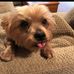 Scott Langendorfer - Facebook