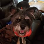 Scott Langham - @langham325 - Instagram