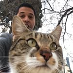Scott Langstaff - @cats_of_dubrovnik - Instagram