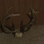 Landon Scott Lanham - @landon.lanham - Instagram