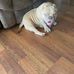 Lante Scott - Facebook
