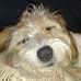 Scott Laskey - Facebook