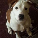 Scott Laskey - @laskeyscott - Instagram