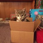 Scott Laskowski - @laskowskiscott - Instagram