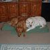 Scott Laskowski - Facebook