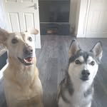 Scott Lavelle - @scott.lavelle.50 - Instagram