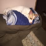 Scott Leasure - Facebook