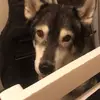 scottleaver757 - @scottleaver757 - TikTok