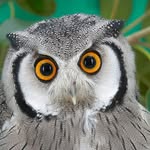 Scott Leech - @_scott_leech_ - Instagram