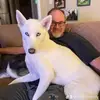 Scott Leedy - @speedyleedy - TikTok